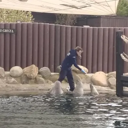 Costa Del Appartamento *