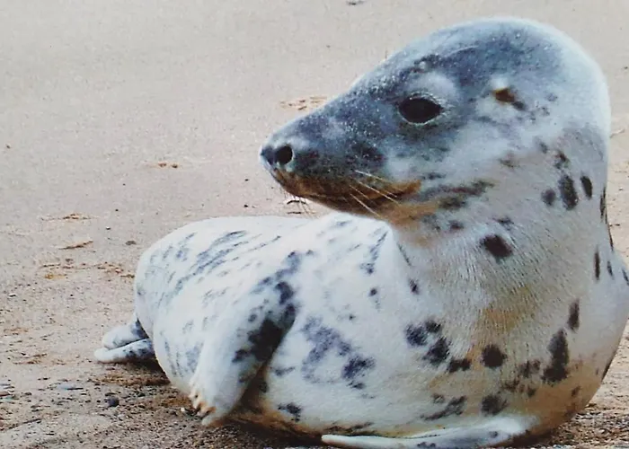 Costa Del Апартаменты