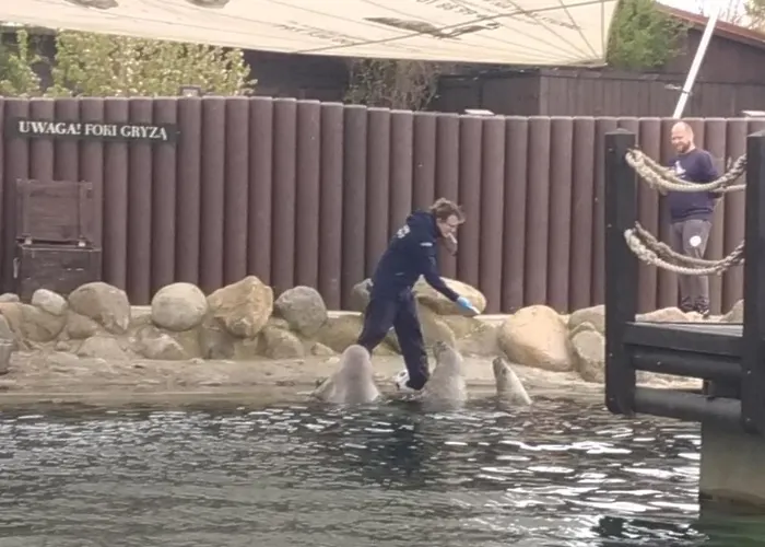 Costa Del Апартаменты *