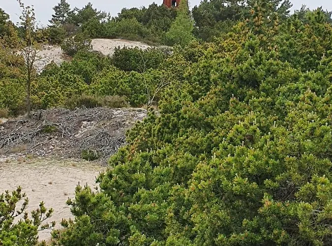 Costa Del Апартаменты *